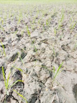 Picsart 25 07 24 16 29 08 852