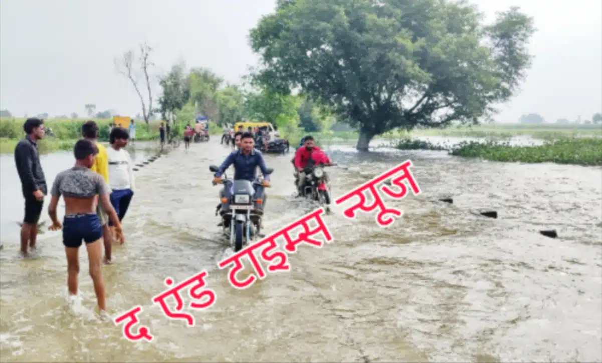 Picsart 25 08 11 13 55 52 391