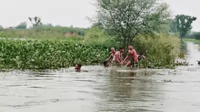 Picsart 25 08 11 19 54 57 706