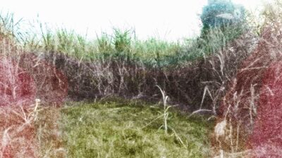 Picsart 25 11 07 21 34 09 936