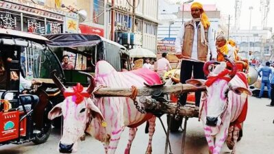 Picsart 26 02 26 18 27 33 695