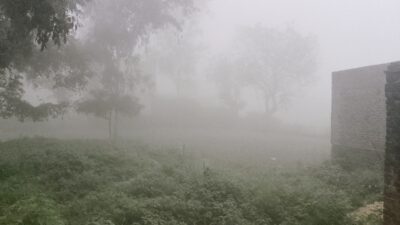 Picsart 26 03 10 09 21 58 564