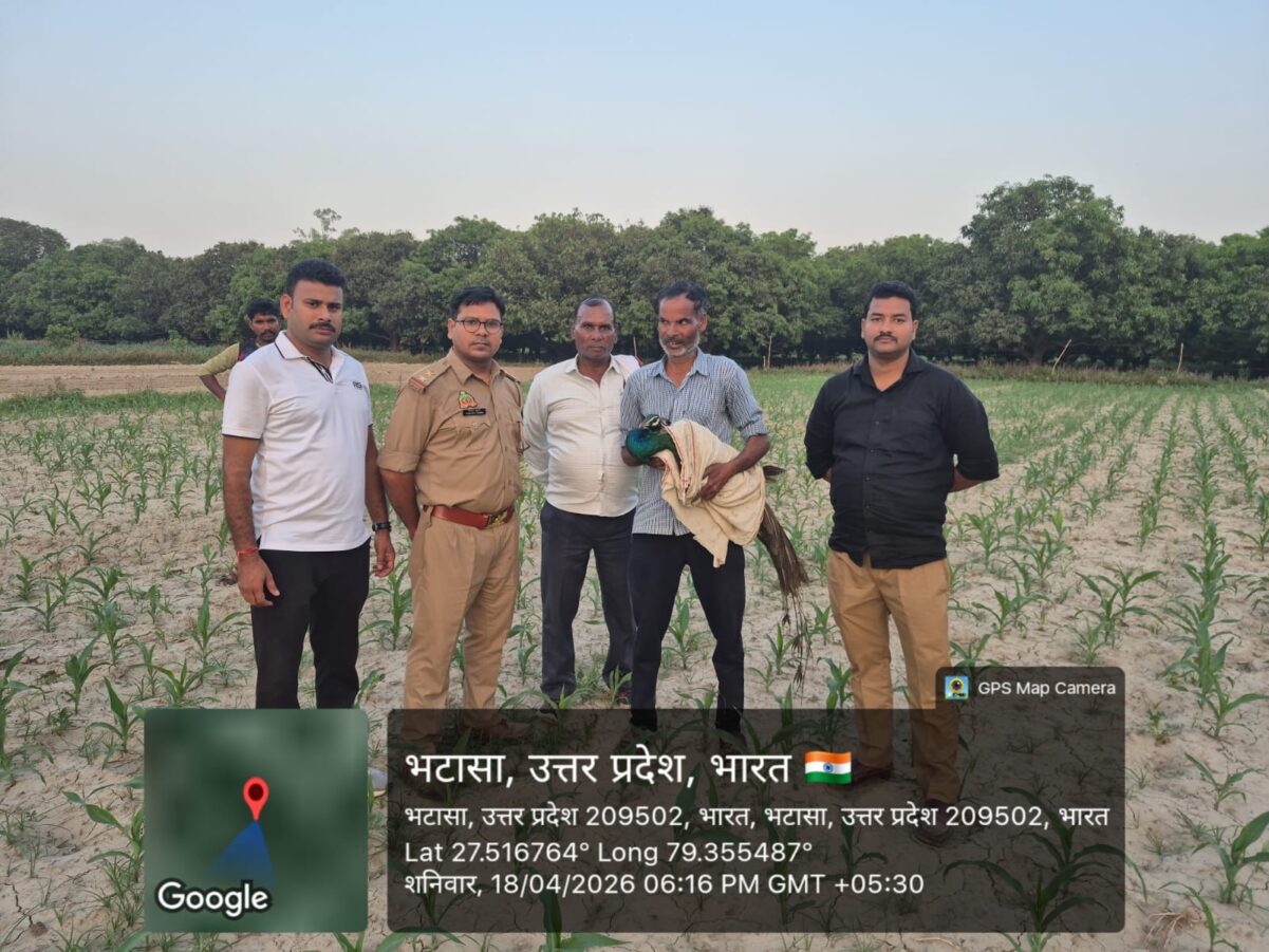 KAIMGANJ NEWS मौत के कुएं से ‘राष्ट्रीय गौरव’ की वापसी: घंटों की जंग के बाद जिंदा निकला मोर, गांव में छाई खुशी!” IMG 20260418 WA0387