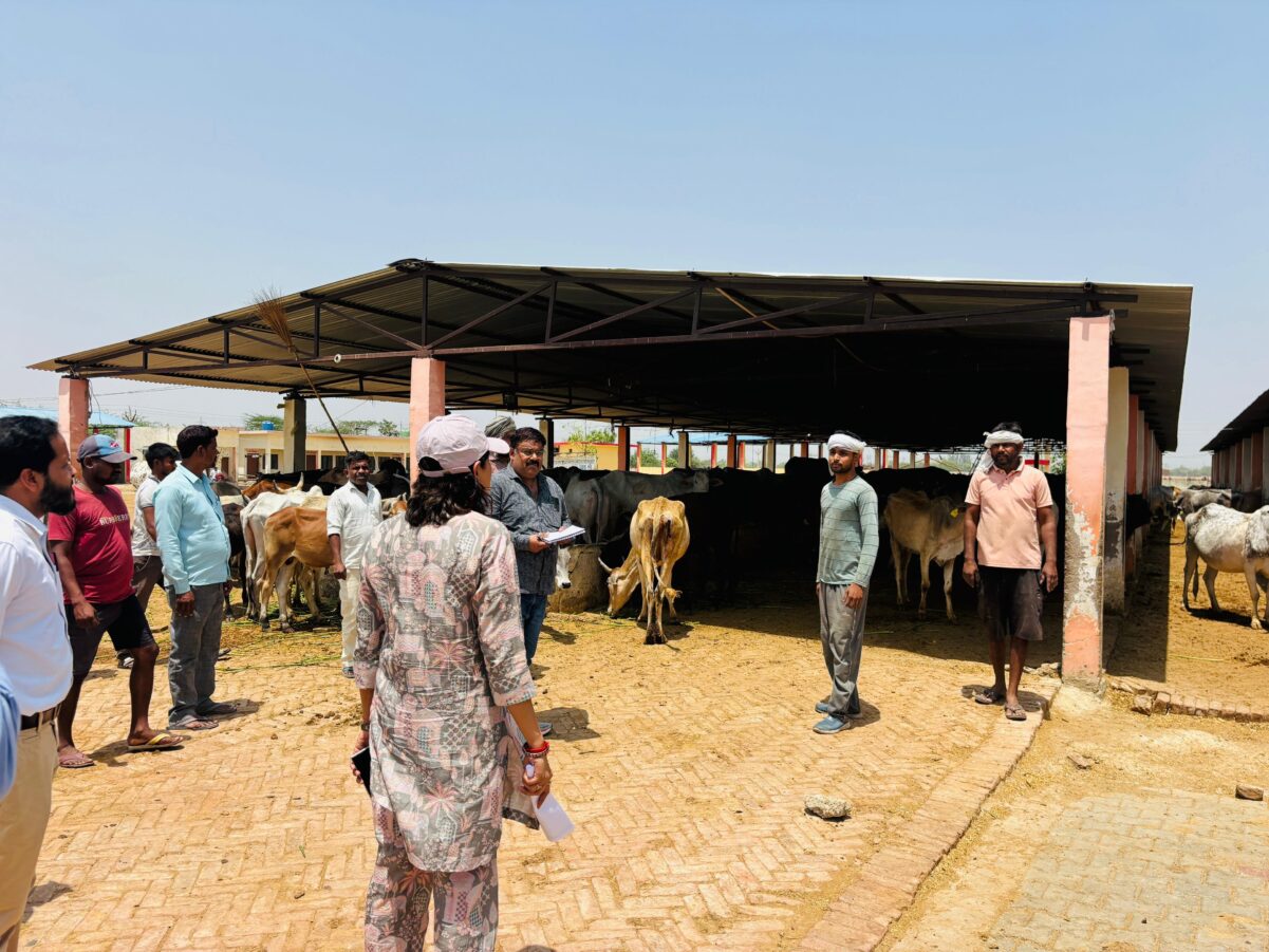 Farrukhabad news गौशाला निरीक्षण में मिलीं खामियां, डीएम सख्त—लापरवाही पर वेतन रोकने और नोटिस के निर्देश IMG 20260426 WA03071