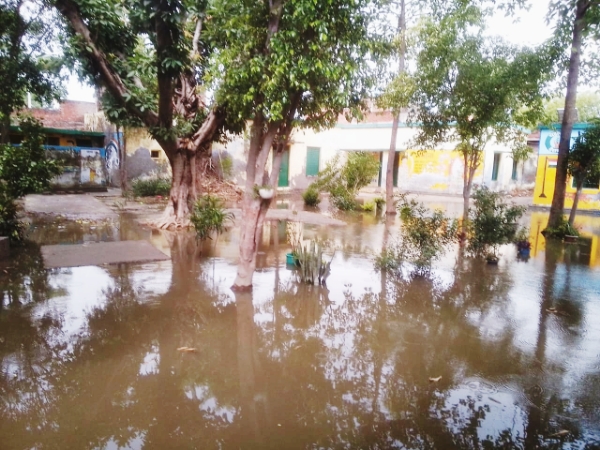 KAIMGANJ NEWS आंधी-तूफान का तांडव: कायमगंज क्षेत्र में तबाही, पेड़-दीवारें ध्वस्त, फसलों को भारी नुकसान Picsart 26 05 04 17 53 20 535