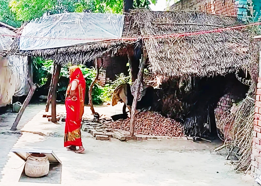 KAIMGANJ NEWS प्रधानमंत्री आवास योजना पर उठे सवाल! कच्चे टीनशेड में गुजर रही जिंदगी, कई बार गुहार के बाद भी नहीं मिला गरीबों को पक्का आशियाना Picsart 26 08 05 18 42 22 614