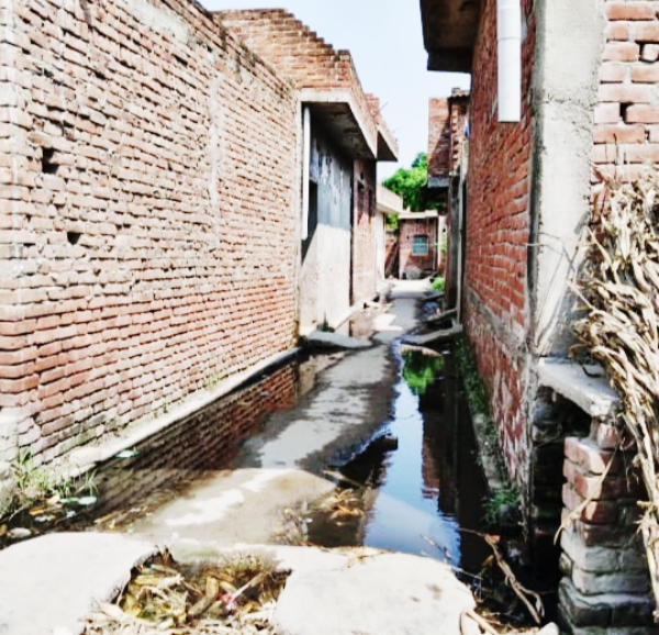KAIMGANJ NEWS स्वच्छ भारत मिशन को लगा 'ग्रहण': अफसरों की मेहरबानी से मौज काट रहा सफाईकर्मी, नालियां बजबजाईं, सड़कों पर गंदा पानी Picsart 26 08 07 15 10 56 973